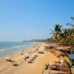 Discover the Summer Travel Boom in India: Families Opt for Puri, Wayanad, and Goa for Unforgettable Adventures