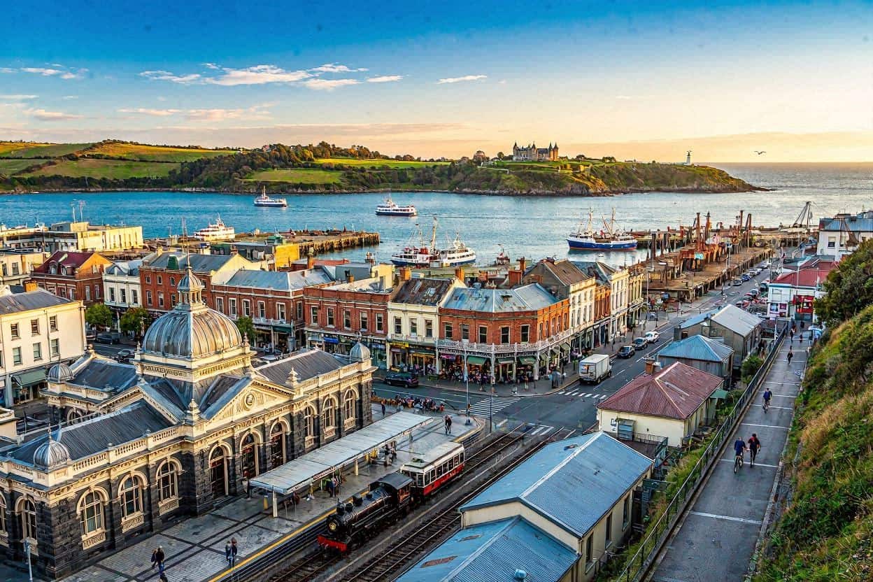 Unlocking Dunedin, New Zealand: The Stunning 3.5-Metre Eco-Wonder That Highlights What Other Avid Travelers Are Missing