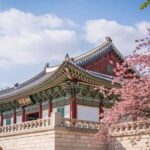 South Korea’s Remarkable Tourism Surge: A Thriving Destination for Travelers
