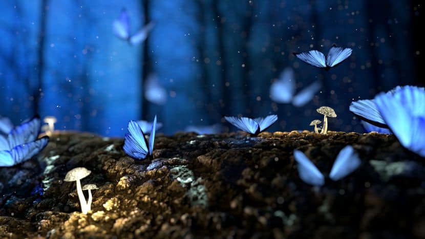 Experience the Enchanting Firefly Festival in India: A Bioluminescent Marvel This Monsoon