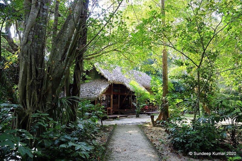 Monsoon Luxury Travel Redefined as Gen Z and Millennial Travellers Abandon Crowded Itineraries for Quietcations, Digital Detox Escapes and Nature-Immersive Slow Living Experiences Across The Serai Resorts in India