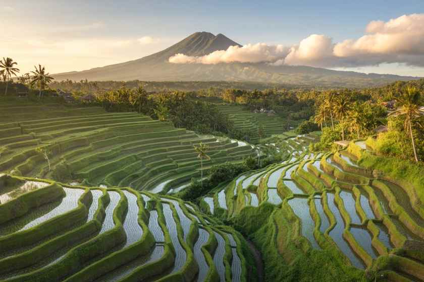 Bali’s Tourism Villages Are Offering Travelers Something Beach Resorts Cannot—Why Are More Visitors Choosing Authentic Island Life Over Traditional Holiday Experiences?