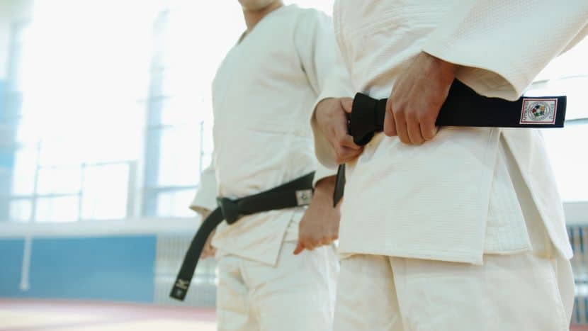 JudoFest 2026: A Premier International Judo Gathering in Croatia