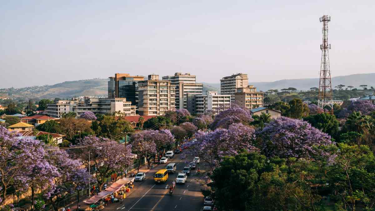 Celebrating TAZARA’s 50-Year Legacy: A New Vision for Rail Tourism and Trade
