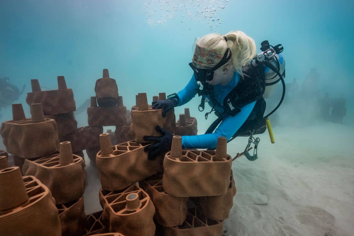 Maldives Joins Australia, Indonesia, Fiji, United States, The Philippines and Seventy One Countries in Reef Restoration After Landmark Global Study Maps One Hundred and Sixty Five Thousand Square Kilometers of Climate Resilient Coral Refugia Capable of Withstanding Rising Ocean Temperatures