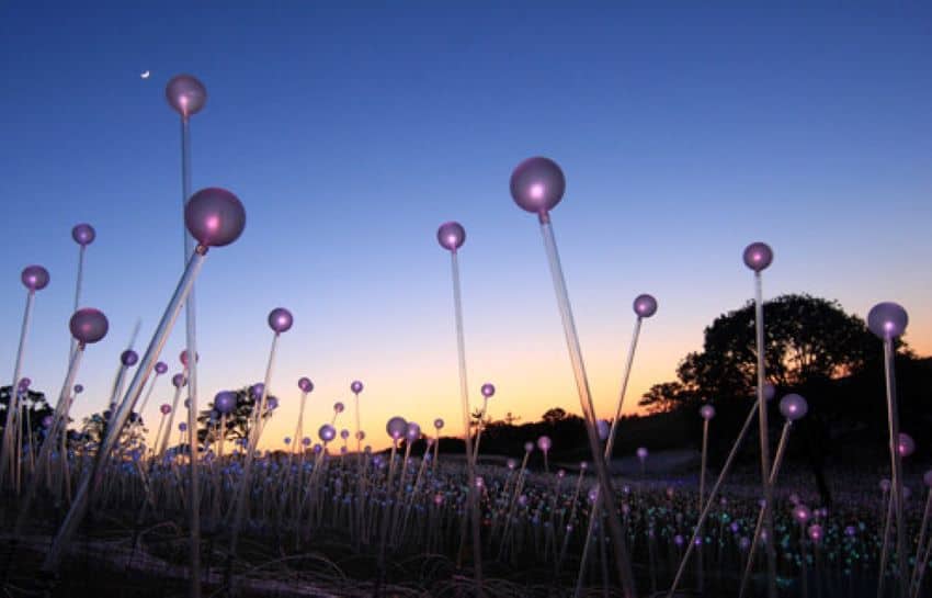 Experience the Magic of Sensorio This Summer in Paso Robles, California