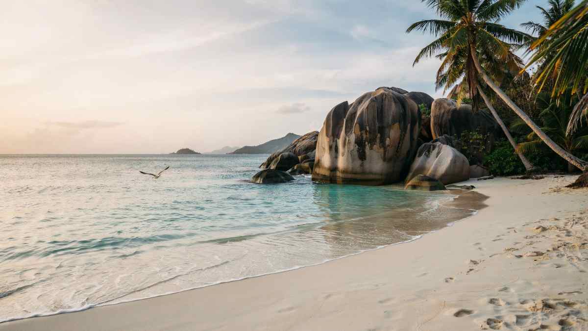 Seychelles Enhances Summer Tourism with Expanded Flights from Qatar Airways, Turkish Airlines, and Aeroflot