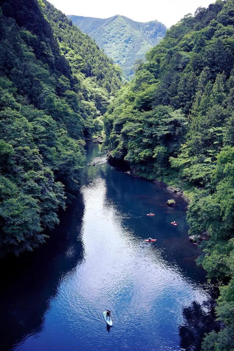 A narrow blue river winds between steep, forested cliffs with several kayakers in the water and a paddleboarder nearby.