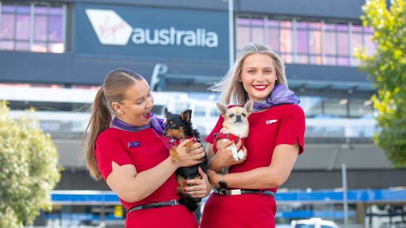 Virgin Australia Revolutionizes Pet Travel with New Service from Adelaide