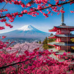 Japan’s Visa Fee Hike Alters Travel Landscape: Impacts on Regional Markets