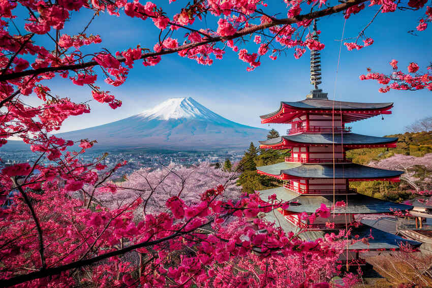 Japan’s Visa Fee Hike Alters Travel Landscape: Impacts on Regional Markets