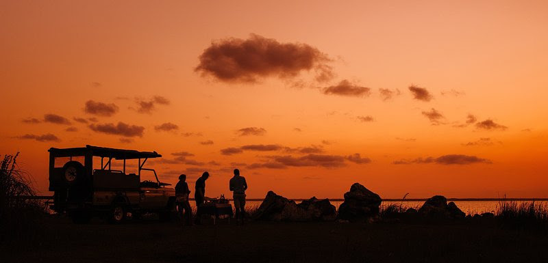South Africa and Zimbabwe Enter Peak Dry-Season Safari Window, Unlocking Exceptional Wildlife Visibility, Concentrated Game Viewing, and High-Value Tourism Opportunities Across National Parks