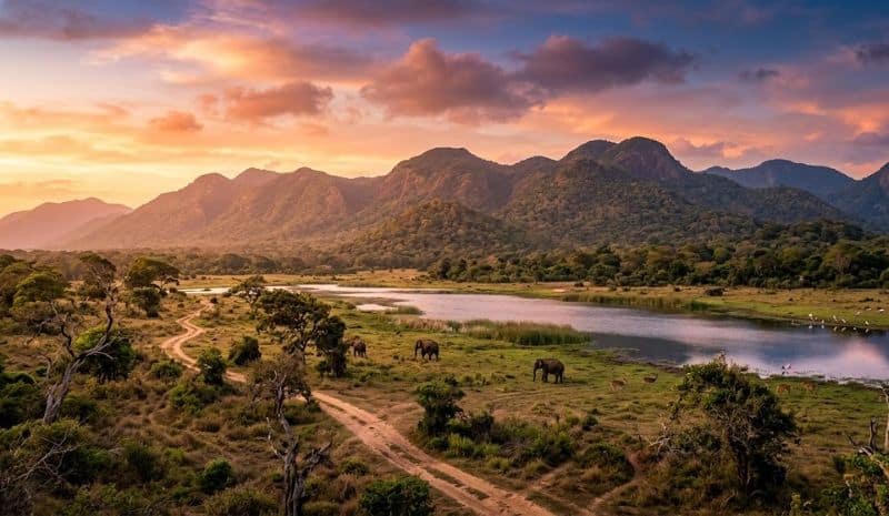 Sri Lanka Is Booming As A Skyrocketing Travel Destination Where Sigiriya, Yala National Park, Nuwara Eliya, And Stunning Coastal Experiences Are Captivating The World With Unmatched Beauty And Global Appeal