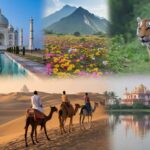 From Blooming Himalayan Flower Valleys to Kerala’s Solitary Shores: Why India Is a Complete Travel Destination for Travelers across the World