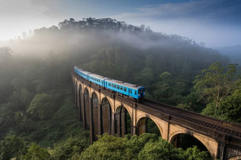 Blue passenger train crossing a tall arched bridge over a misty green valley in a jungle setting.