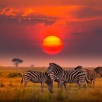 Kenya overtakes Morocco, South Africa, Egypt, Tanzania, Nigeria and more countries in leading Africa tourism as strengthens its position among the fastest growing tourism regions in 2026 driven by sustainable growth, strong arrivals, rising spending, and economic expansion across the continent