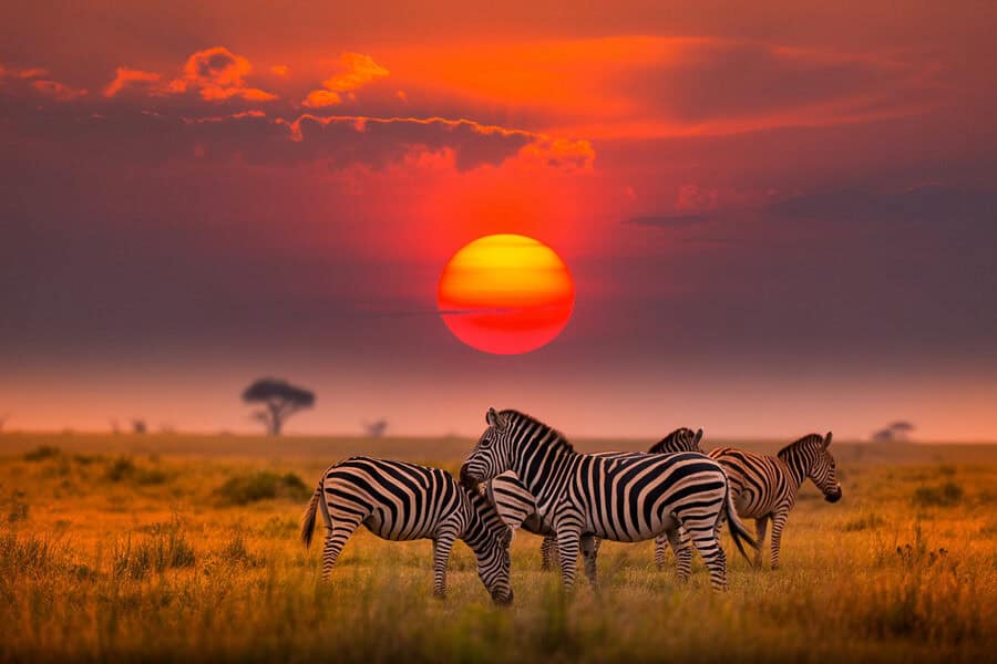 Kenya overtakes Morocco, South Africa, Egypt, Tanzania, Nigeria and more countries in leading Africa tourism as strengthens its position among the fastest growing tourism regions in 2026 driven by sustainable growth, strong arrivals, rising spending, and economic expansion across the continent