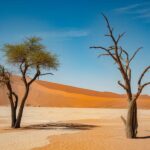 Namibia Overtakes South Africa, Tanzania, Mozambique, Kenya, Botswana, Zambia And Other Countries Throughout Africa In Clinching Sustainable Tourism Dominance And Eco Driven Travel Expansion Across The Continent