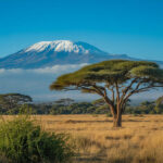 Kenya Leads Africa’s Travel and Tourism Transformation with Strong Sustainability Gains and Record Economic Impact as Sector Contribution Reaches Over Twelve Billion US Dollars in 2025