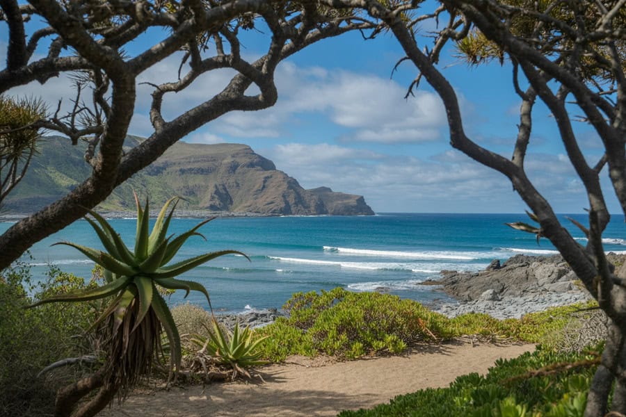 South Africa Joins Zimbabwe, Tanzania, United States, China, Mozambique and France in a Historic Tourism Expansion Wave Driven by Rapid Air Connectivity Growth, Airline Network Upgrades and Strong Demand Reshaping Travel Flow Across High-Value Markets