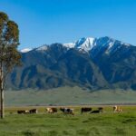 Namibia Joins African Nations in Tourism Surge to South Africa