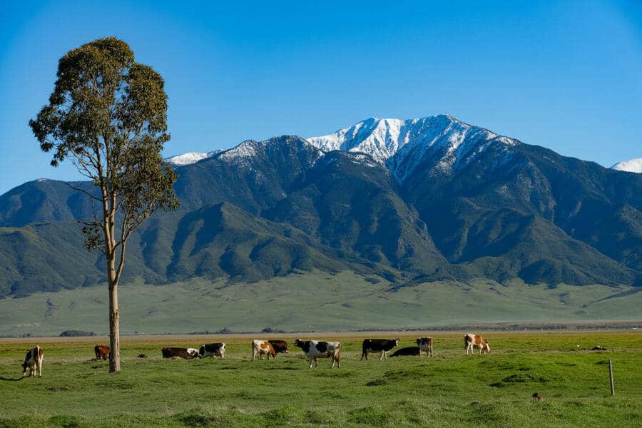 Namibia Joins African Nations in Tourism Surge to South Africa