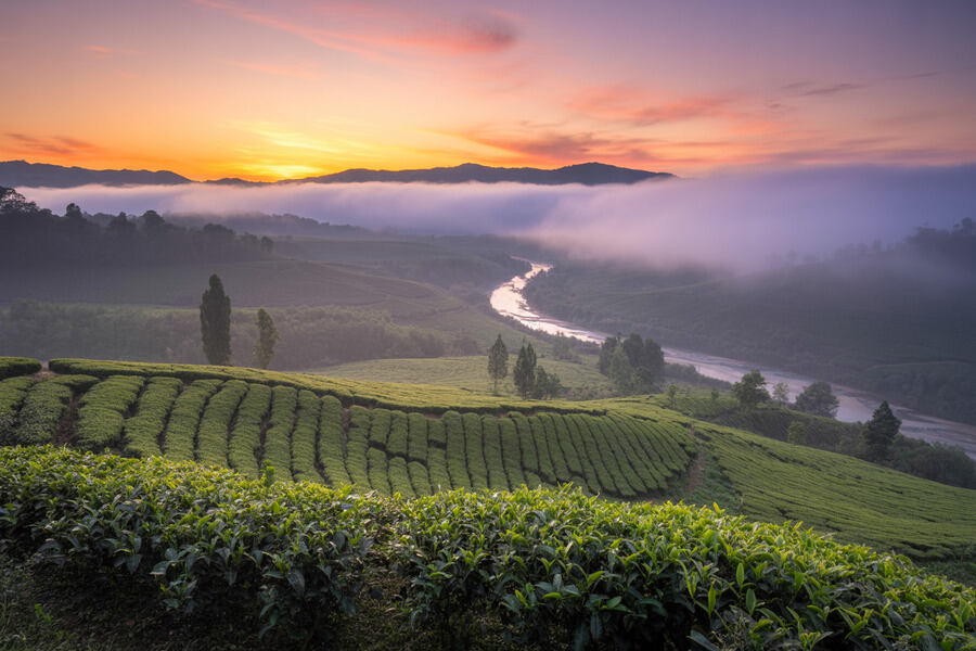 Nagaland Joins Assam, Meghalaya, Sikkim, Tripura and Other Northeastern States in Bold and Ambitious Push to Transform the Region into a High-Growth Travel Powerhouse Set to Redefine India’s Tourism Economy and Strengthen Its Global Travel Presence