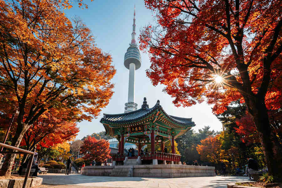 South Korea’s Tourism Reaches New Heights with Over 10 Million Foreign Arrivals