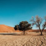 South Africa Overtakes Germany, UK, US, France, Morocco, Zimbabwe, Botswana And Other Source Countries In Powering Namibia Tourism Revenue Surge In 2026 Through Affordable Travel Demand, Rapid Hospitality Sector Expansion, Job Creation Growth, And Rising Leisure Tourism Across Desert And Wildlife Destinations