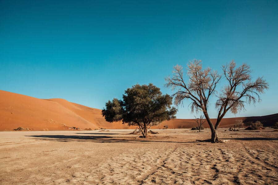 South Africa Overtakes Germany, UK, US, France, Morocco, Zimbabwe, Botswana And Other Source Countries In Powering Namibia Tourism Revenue Surge In 2026 Through Affordable Travel Demand, Rapid Hospitality Sector Expansion, Job Creation Growth, And Rising Leisure Tourism Across Desert And Wildlife Destinations