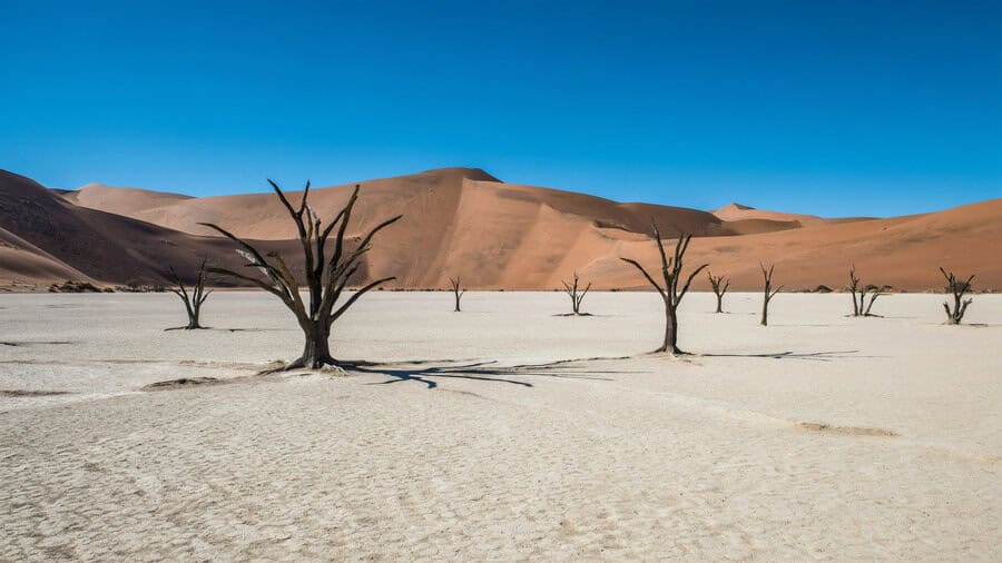 Travel Advisory: Canada Issues Urgent Warning for Namibia, South Africa, Morocco, and Tanzania Over Security Concerns