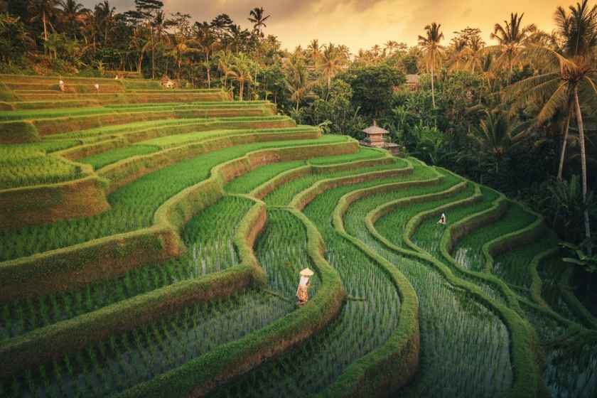 Bali Tourists Face Rising New Vacation Costs as Fuel Prices Climb and Economic Pressures Spread Across Indonesia—How Will Higher Transport and Travel Expenses Reshape Visitor Spending?