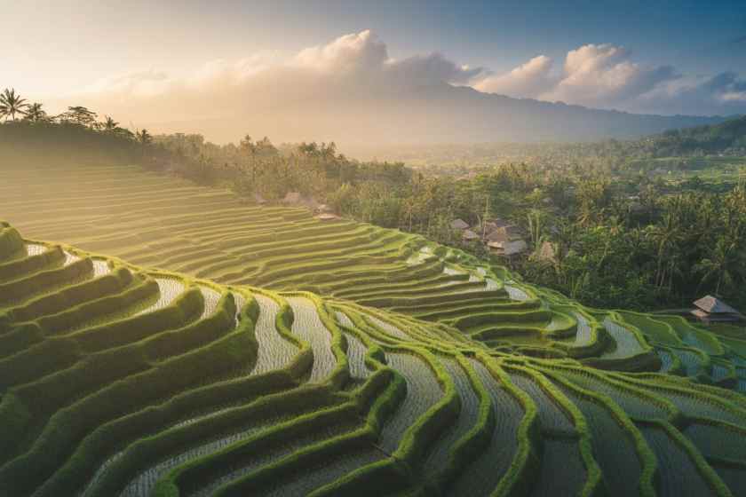 Indonesia’s Innovative Tourist Insurance: A New Era for Bali’s Safety Standards
