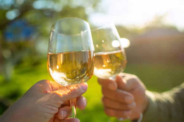 New Zealand Joins Australia, China, Portugal, Croatia, Argentina, Chile and More Nations in a Billion-Dollar Wine Tourism Explosion Reshaping Global Travel Economics and Redefining Luxury Vineyard Experiences Across Bordeaux, Barossa Valley, Ningxia, Mendoza, Douro Valley, and Others Leading Wine Capitals Worldwide