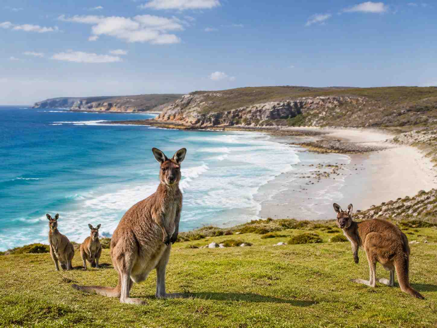Kangaroo Island: The Eco-Travel Haven Set to Welcome Global Tourists in 2026