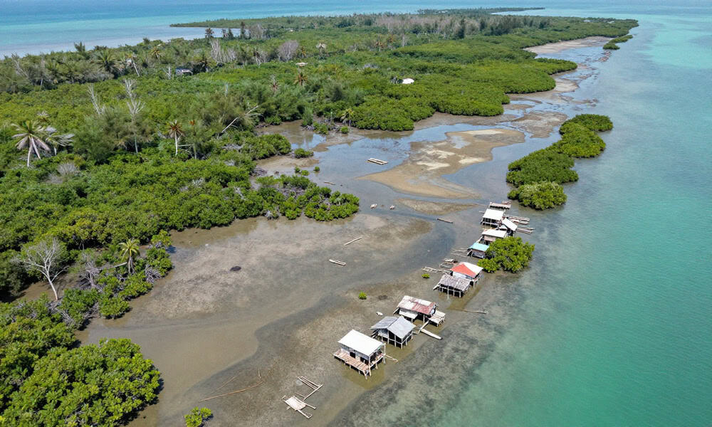 Environmental Crisis at Sonadia Island: A Call for Action