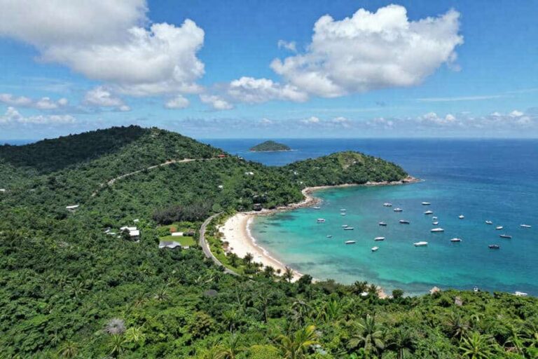 A tropical bay with a curved white-sand beach, green hills, and numerous boats anchored in clear turquoise water.