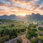 Puglia Sparks A Budget-Friendly Travel Boom, Proving You Can Enjoy A Sun-Drenched Coastal Escape Without Spending A Fortune In Italy