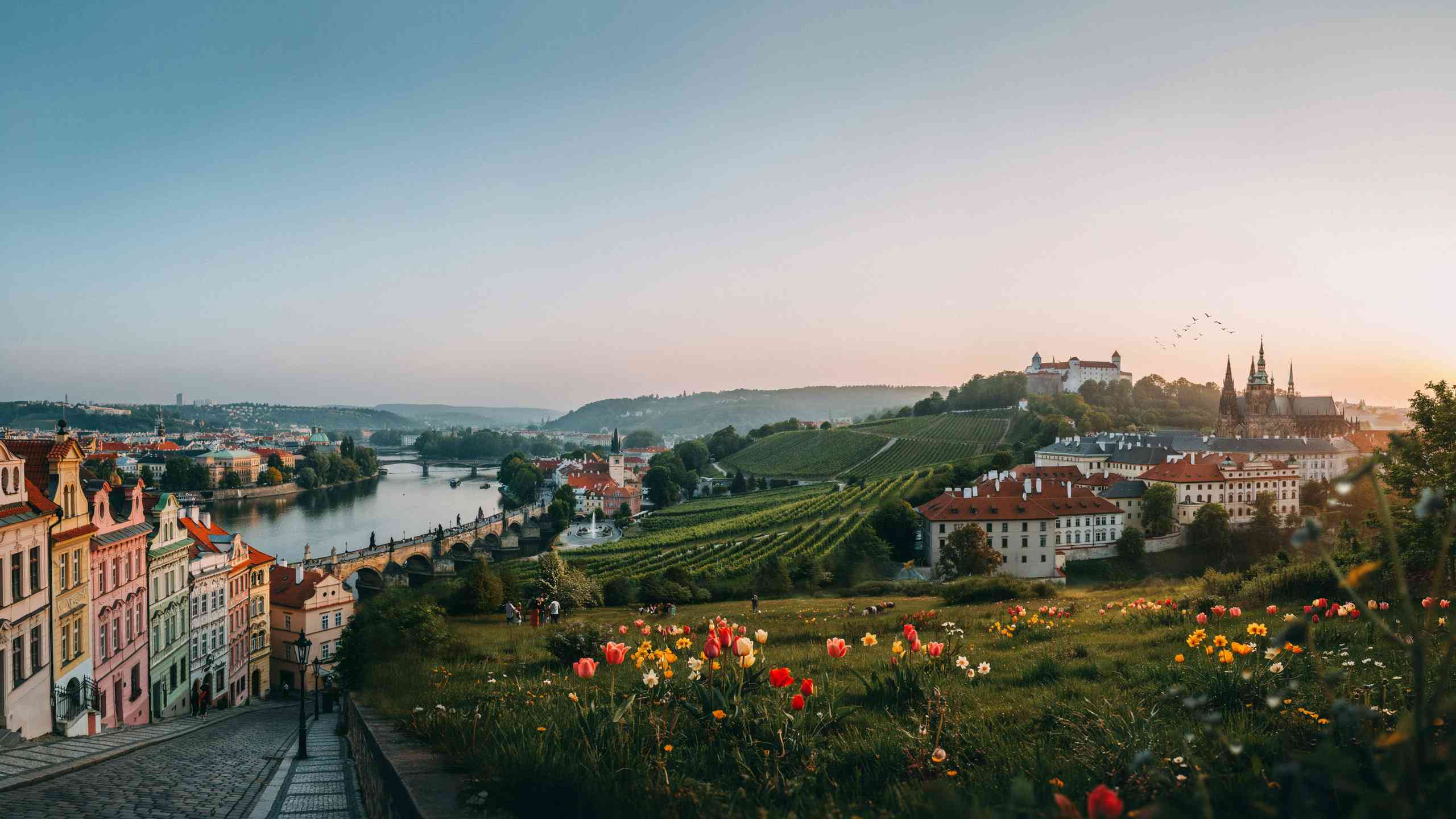 Discover the Czech Republic: A Complete Travel Guide Beyond Prague