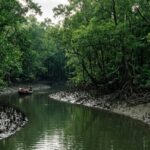 Sundarbans Travel Takes A Bold Conservation Turn As Temporary Tourism Closure Protects The World’s Largest Mangrove Forest And Redefines Nature Escapes In India