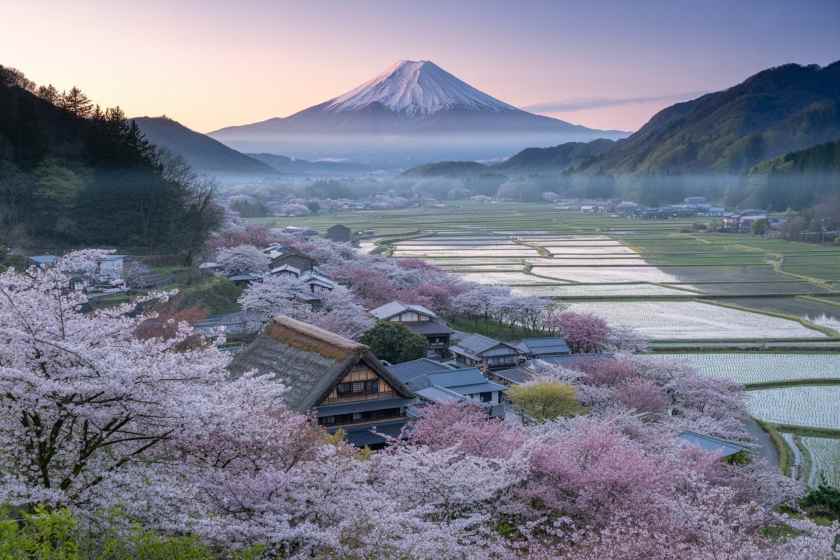 Discovering Regional Japan: Hokkaido, Kyushu, and Tohoku Become the New Travel Hotspots