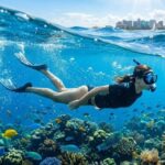 Explore Brazil’s Breathtaking Underwater Adventures: Your Ultimate Travel Guide