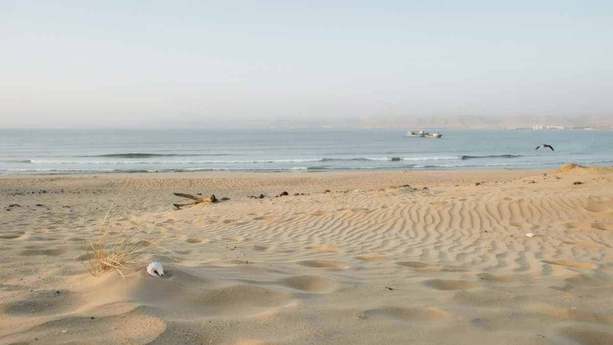 New Alamein: The Rising Star of Egyptian Summer Tourism