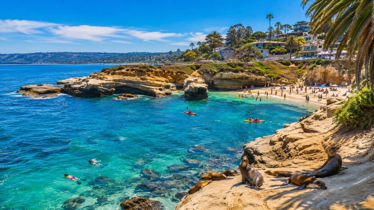 Discover La Jolla Cove: America’s Best Beach for 2026