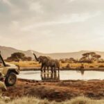 China Takes the Lead in Revitalizing Namibia’s Tourism: A New Era of Africa-Asia Connections