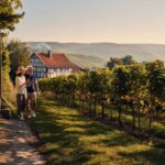 UK Unites with Northern European Nations to Redefine Tourism and Agriculture Landscape