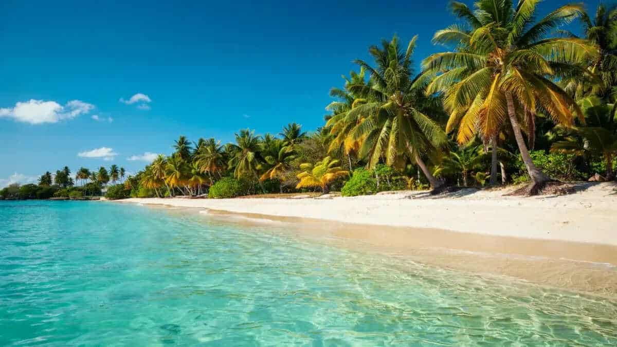 Dominican Republic Sees Record Tourism Growth with Over Six Million Visitors in Early 2026