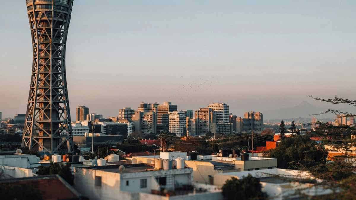 Essential Guide: South Africa’s New Online Customs Declarations for International Travelers