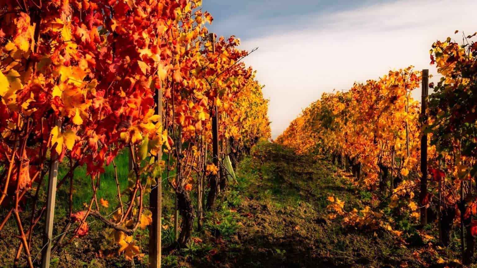Discover Sicily: Your Ultimate Autumn Getaway Awaits