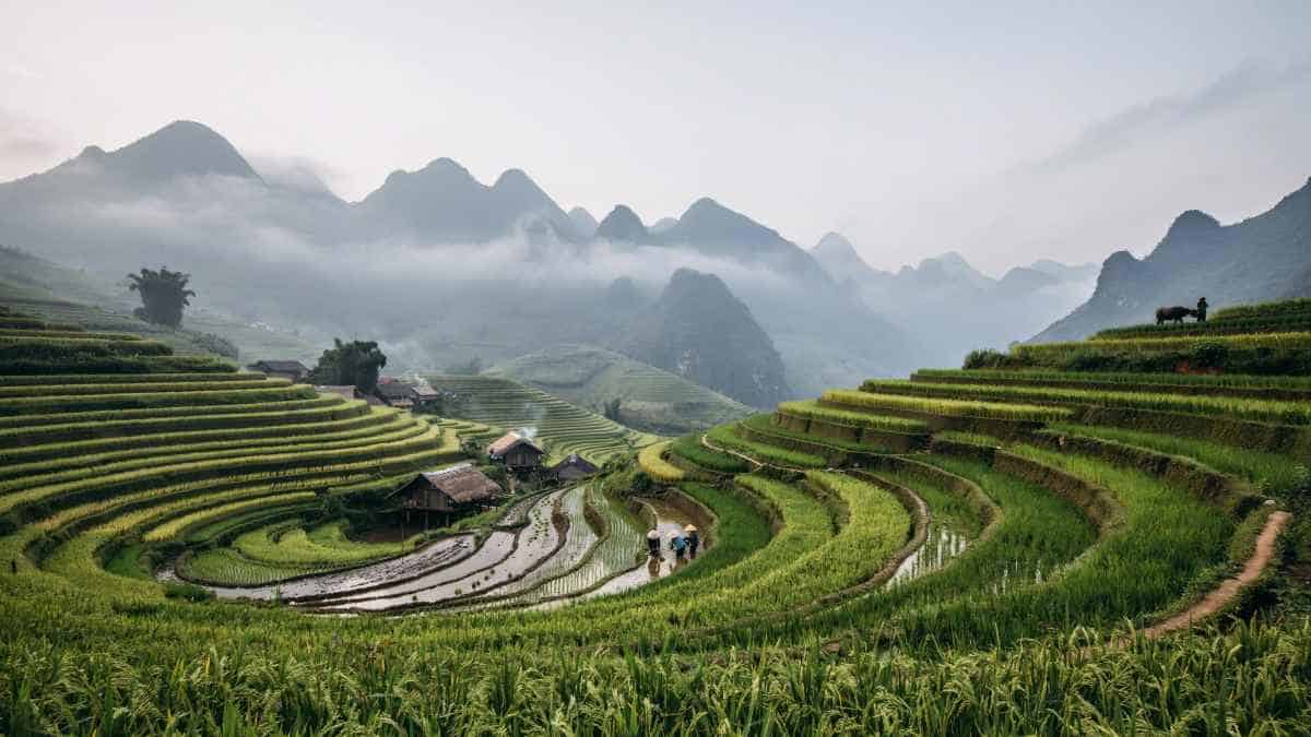 Discover the New Wave of Travel: Sukabumi and Other Hidden Gems in Asia